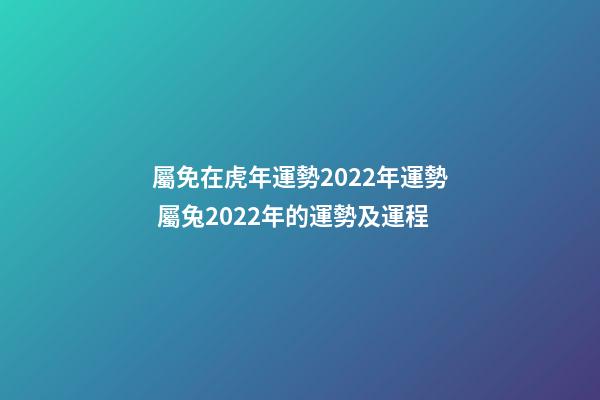 屬免在虎年運勢2022年運勢 屬兔2022年的運勢及運程-第1張-觀點-玄機派